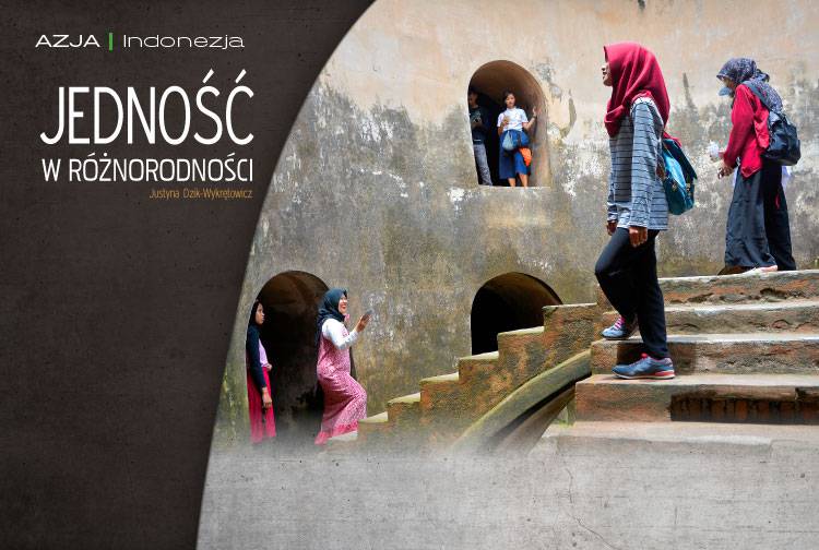 Losowy darmowy artykuł